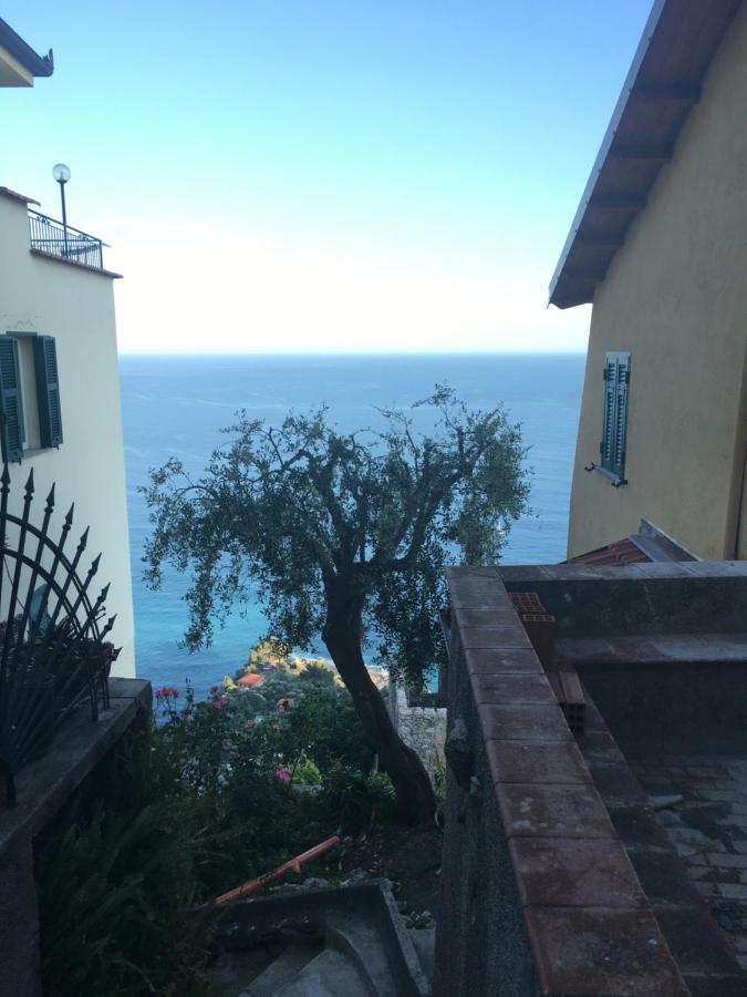 House In Grimaldi. Spectacular View Over The French Riviera! Грімальді Екстер'єр фото